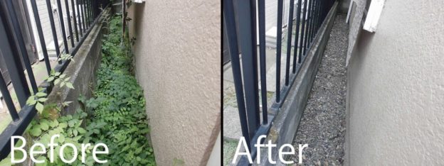 庭木のお手入れ